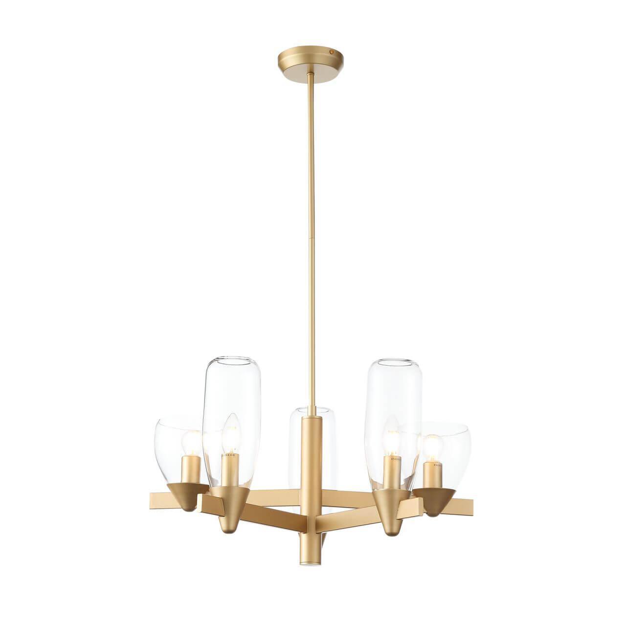 Подвесная люстра ST Luce Teneresa SL1119.203.05 