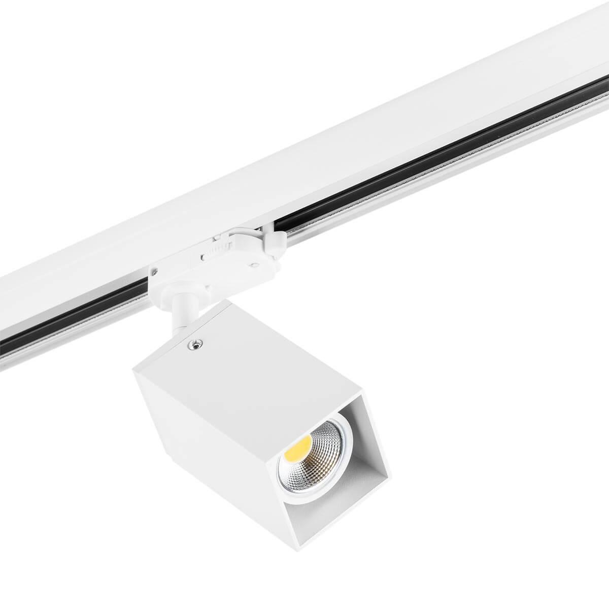 Трековый светильник Lightstar Rullo (594256+216336) A3T216336 