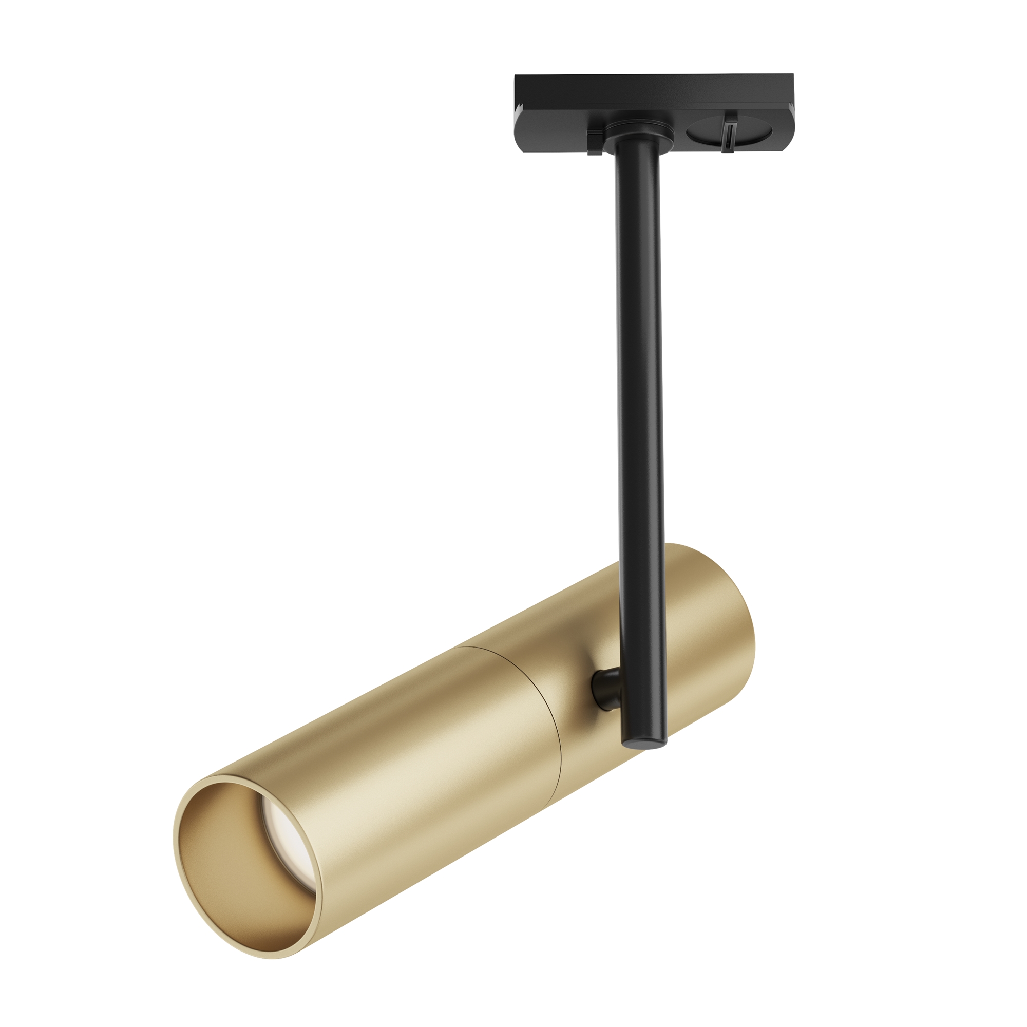 Трековый светильник Maytoni Track Lamps TR005-1-GU10-BG 