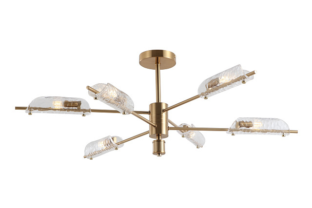 Потолочный светильник Freya FR5420CL-06BS 