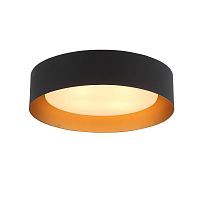 Потолочный светильник ST Luce Chio SL392.422.04 