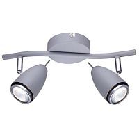 Спот Arte Lamp Regista A1966AP-2GY 