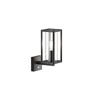 Настенный светильник (бра) Outdoor O452WL-01GFSR 