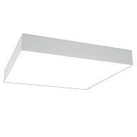 Потолочный светодиодный светильник Maytoni Technical Zon C067CL-L48W4K 