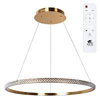 Подвесная светодиодная люстра Arte Lamp Orione A2182SP-80PB 