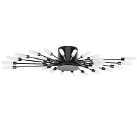 Потолочная люстра Lightstar Ragno 732287 