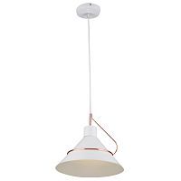 Подвесной светильник Freya Amis FR5025PL-01W 
