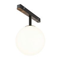 Трековый светодиодный светильник Maytoni Technical Luna TR038-2-5W3K 