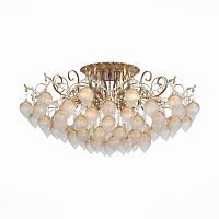 Потолочная люстра ST Luce Frutti SL659.302.09 