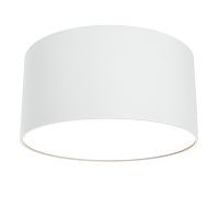 Потолочный светильник Technical C032CL-12W3K-RD-W 
