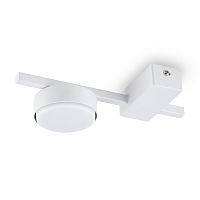 Потолочный светильник Freya FR5363CL-01W 