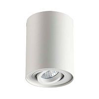 Потолочный накладной светильник SONEX Pillaron 3564/1C металл белый 