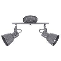 Спот Arte Lamp A1677PL-2GY 