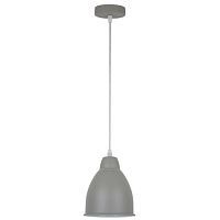 Подвесной светильник Arte Lamp Braccio A2054SP-1GY 